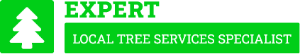 Rotorua Arborist - Tree Removal Rotorua